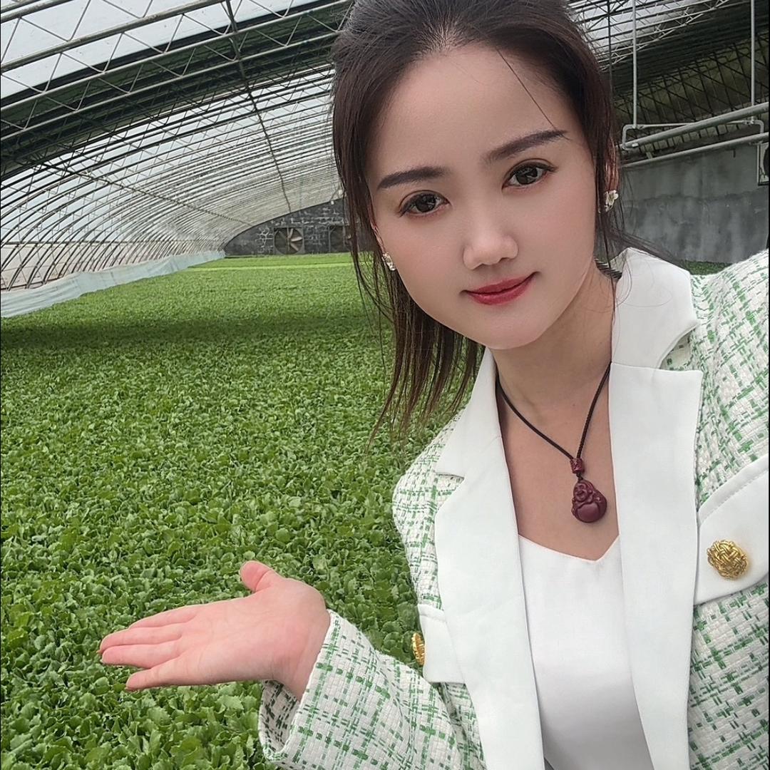 @元宝（果蔬+种苗）