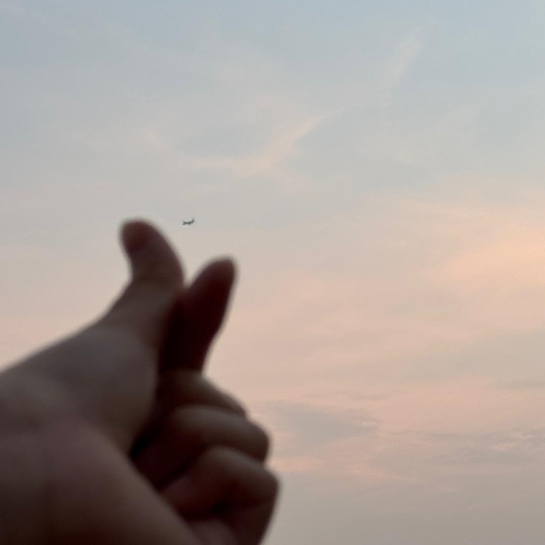 G拿拿（日更发财版）