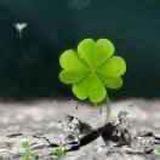 郑州老表二手车