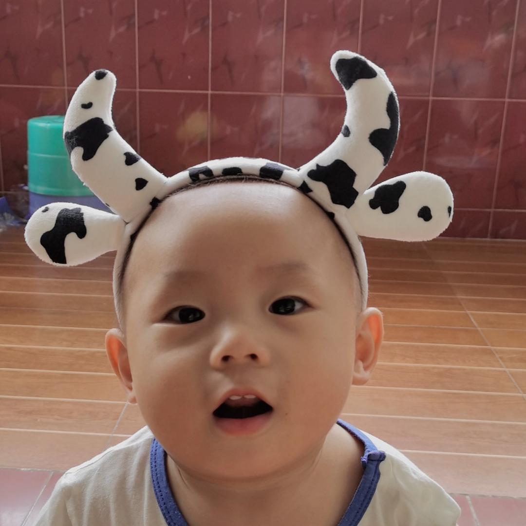 小壮壮