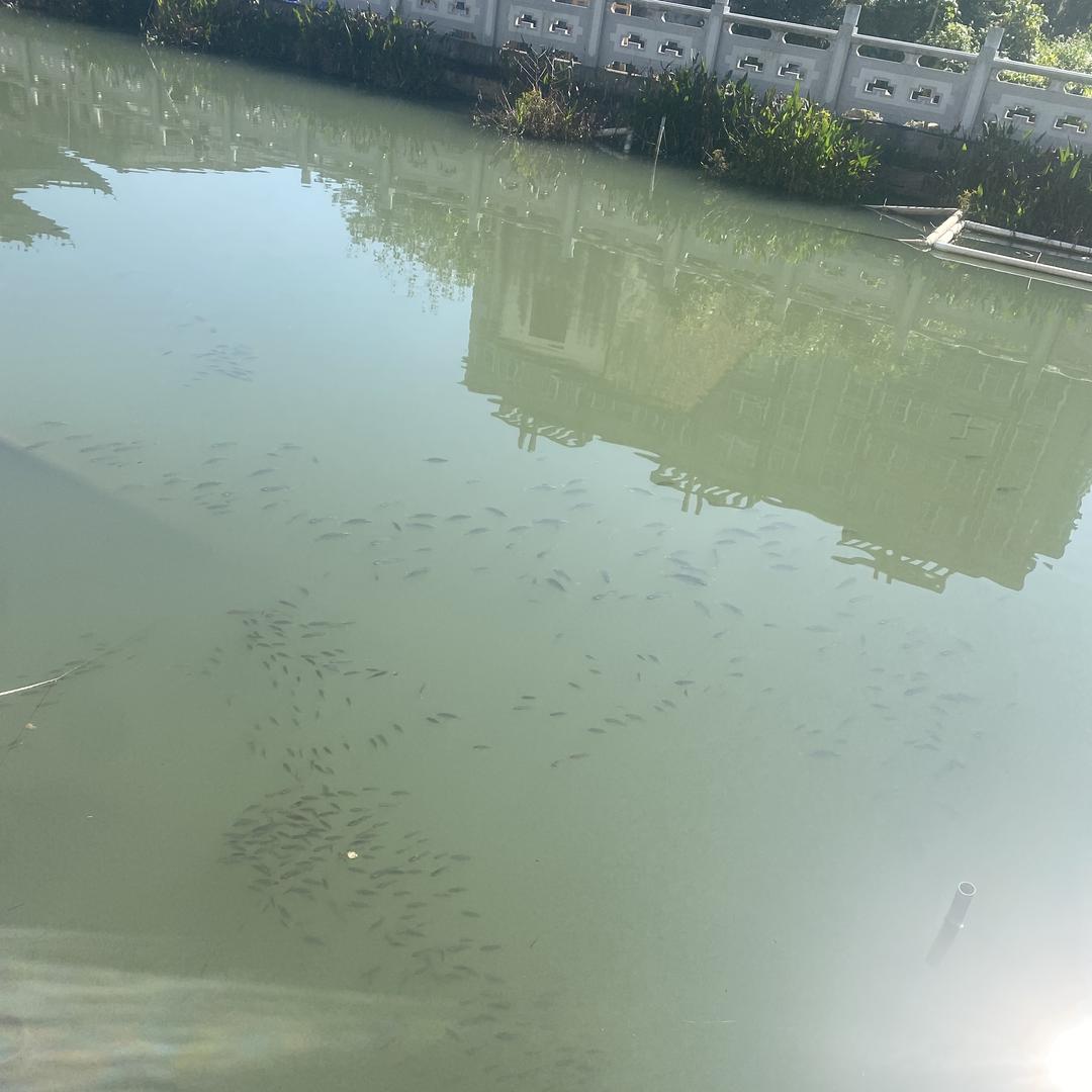 阳佑优选剧