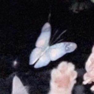 王伊泽