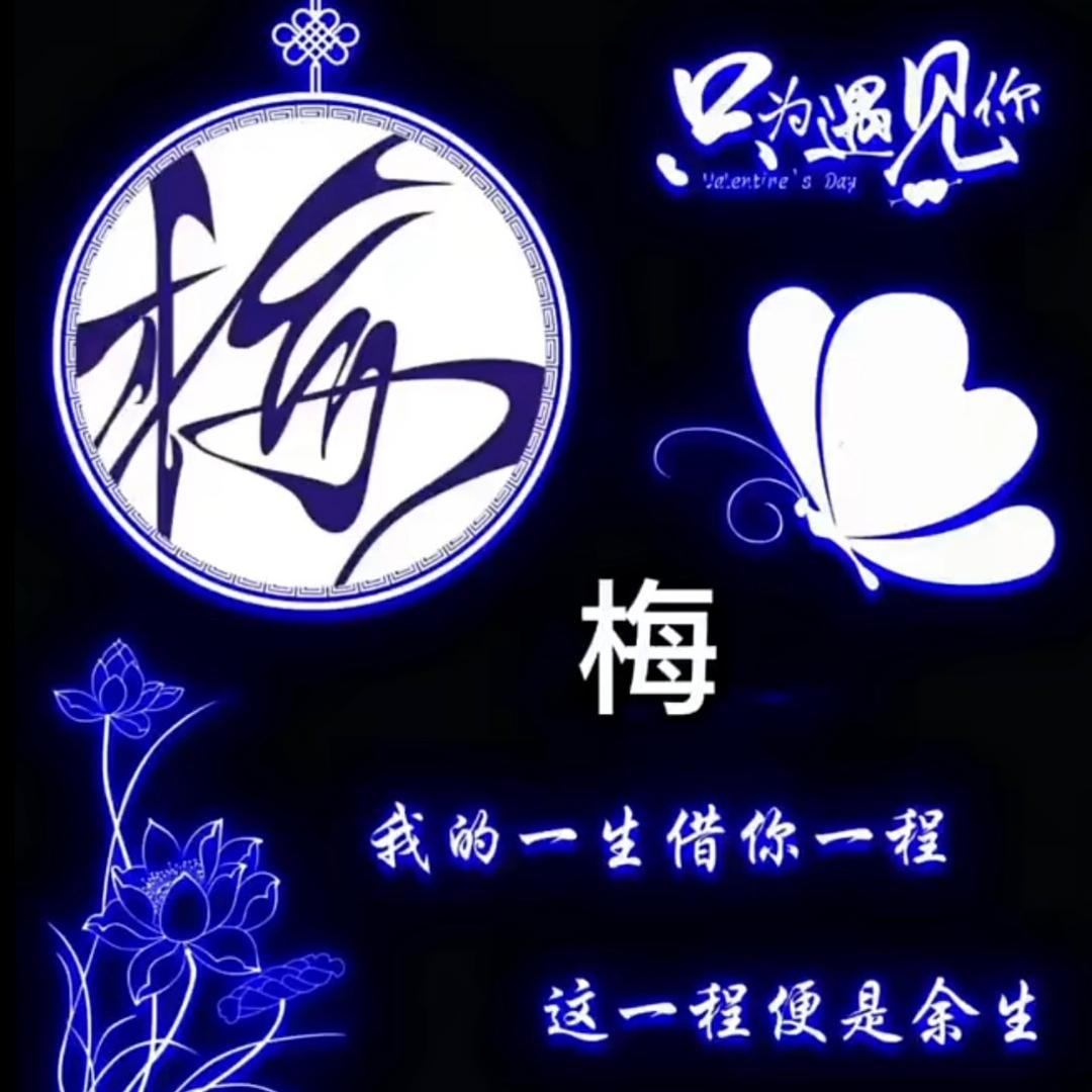 小夏地锅鸡