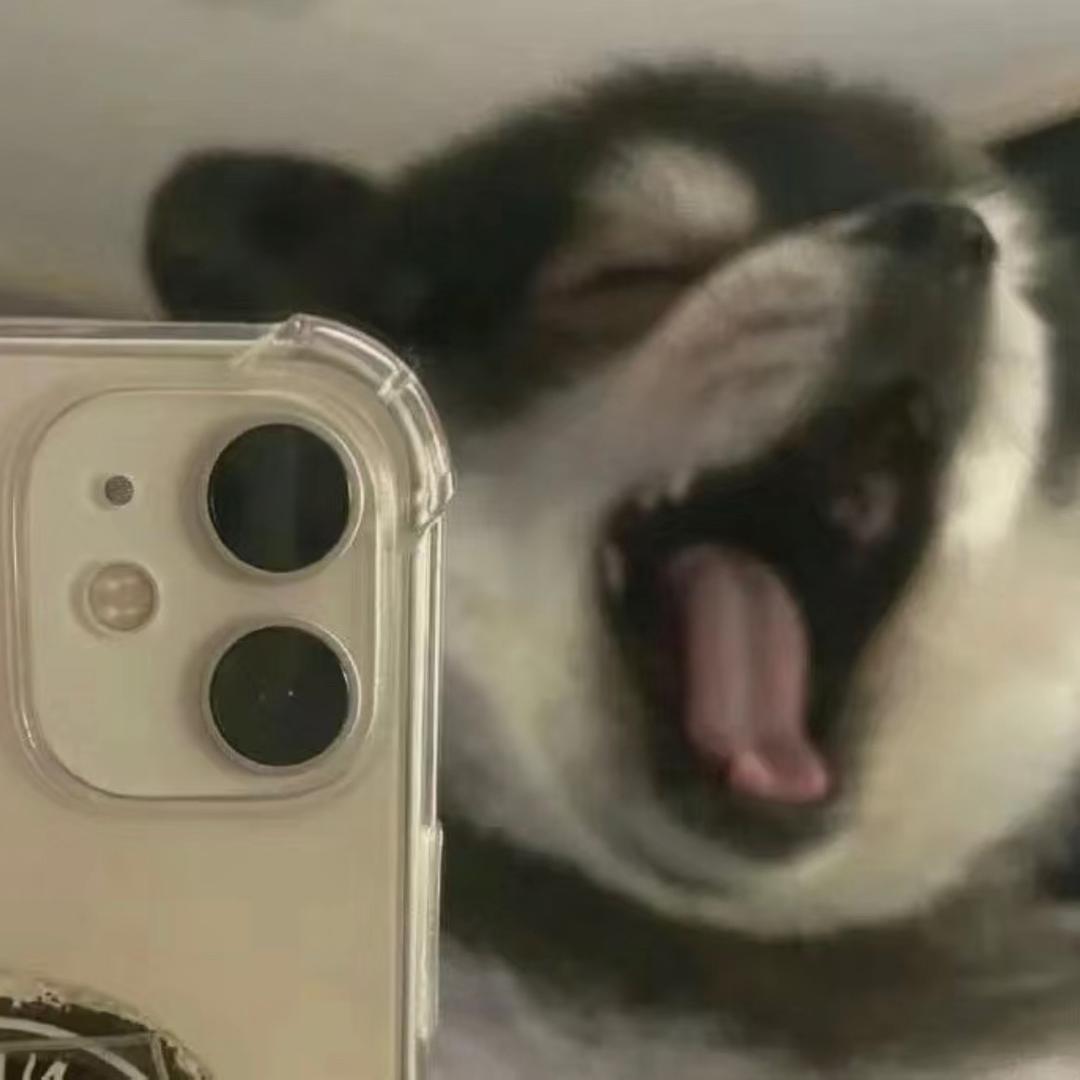 小陈是小鱼yy_