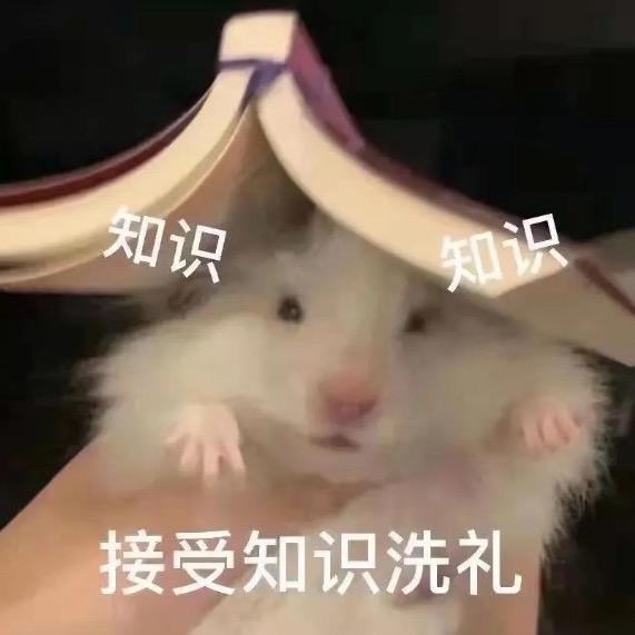 点开就会钱多多