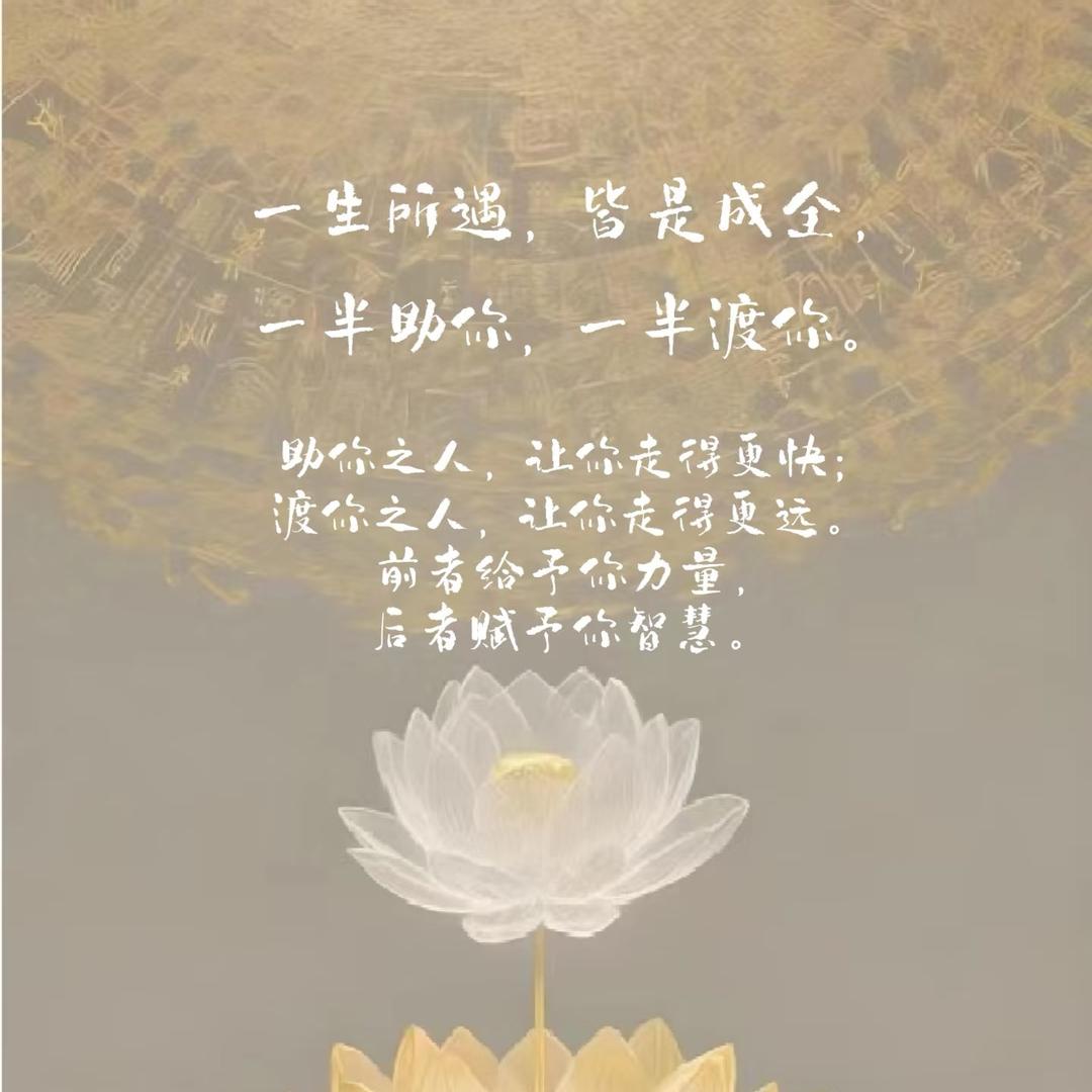 🌿寂露 🌸ᥫ᭡