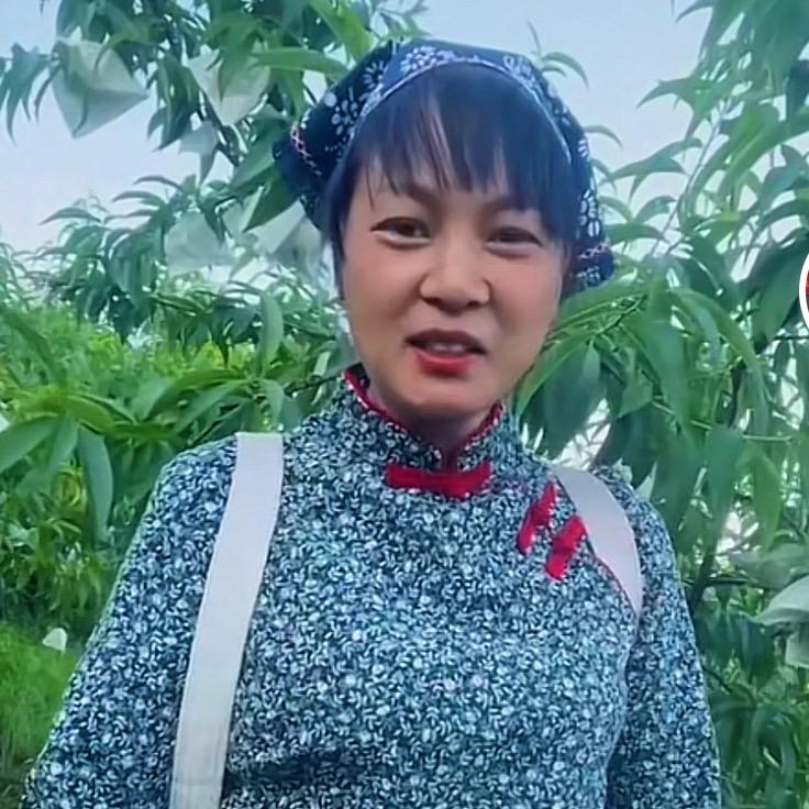 春菊家