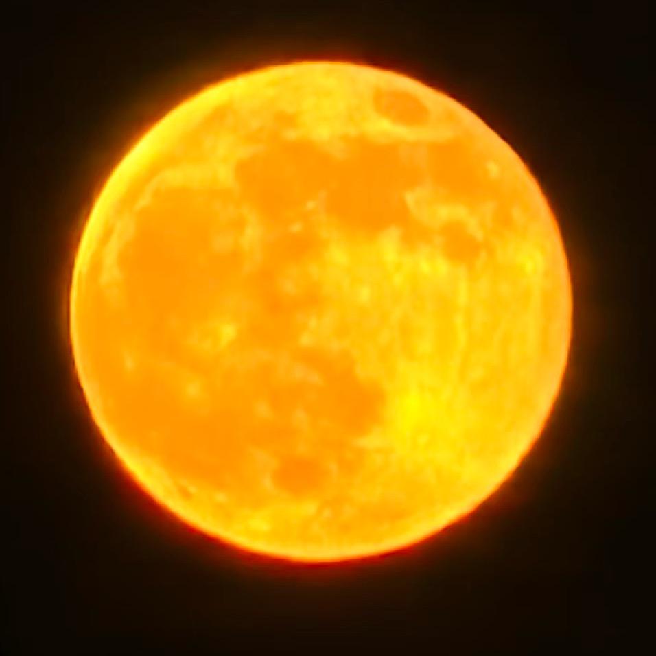 神精拒绝私聊，，不要连点赞