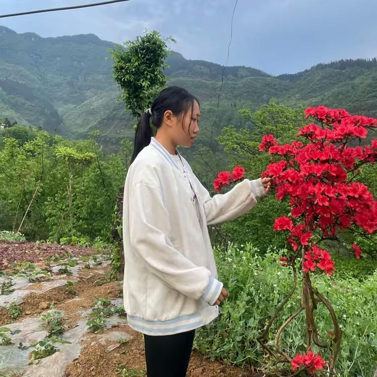 燕子农村生活