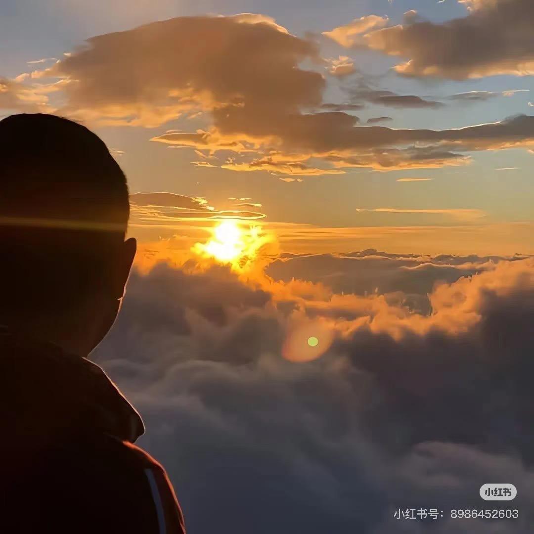 挪威特的深林💋