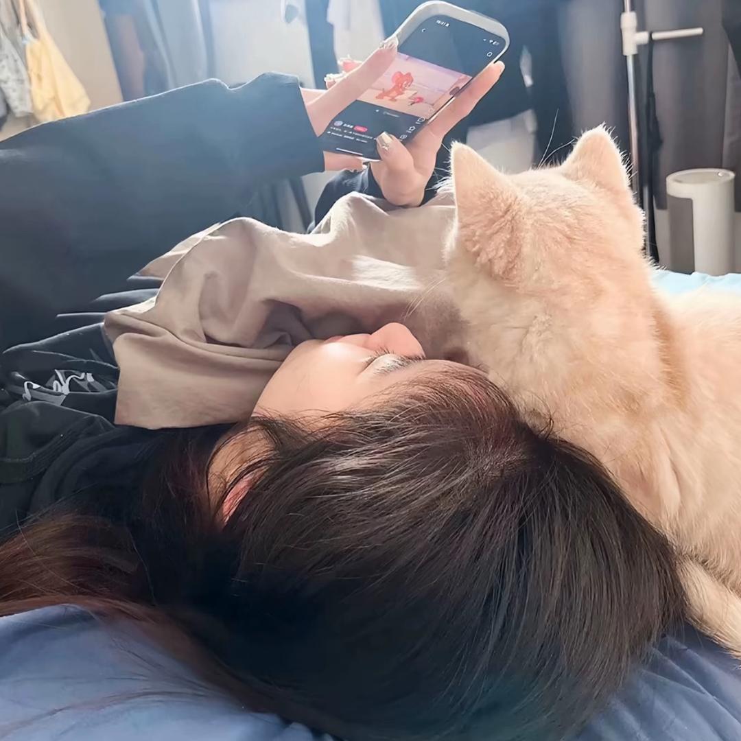 大脸肉.