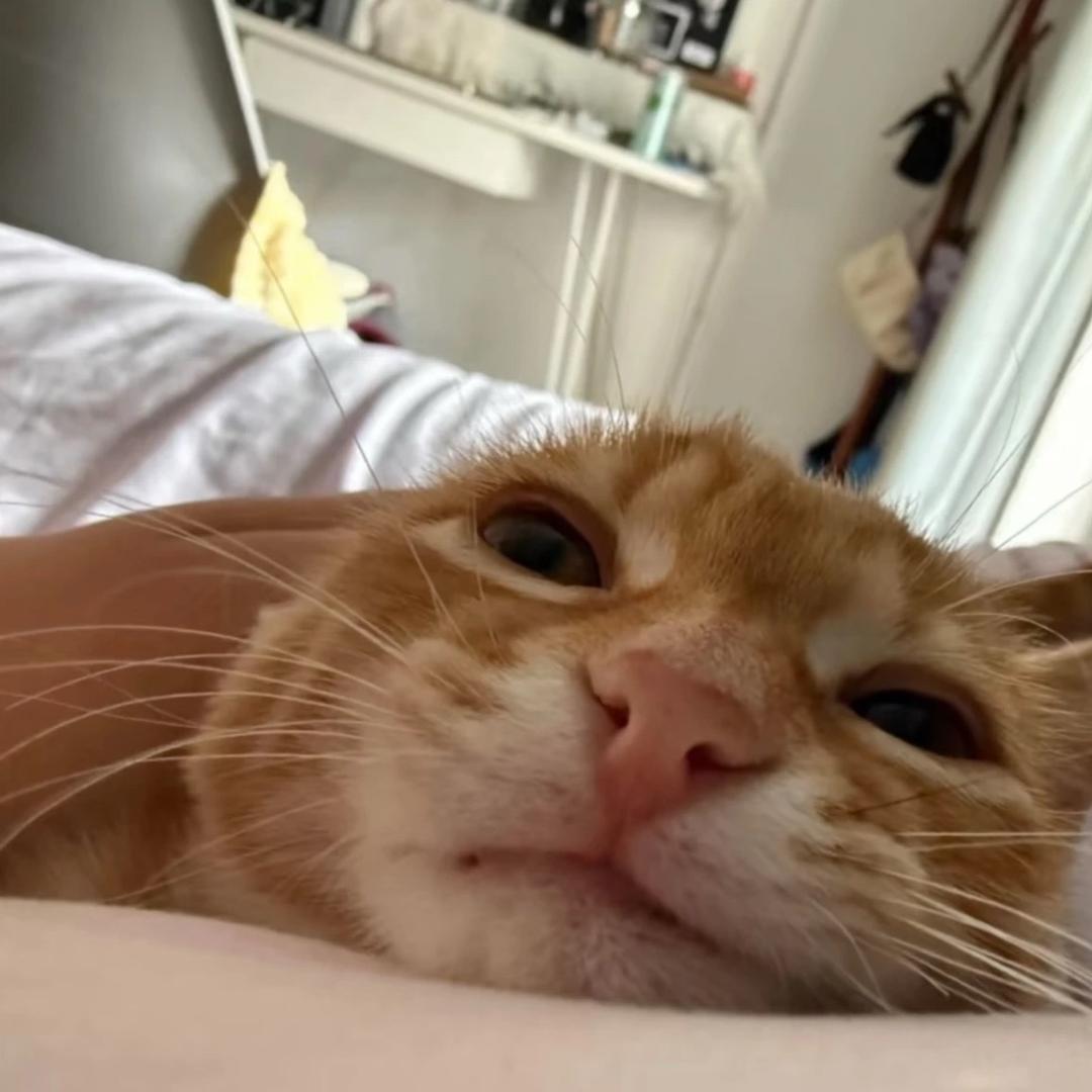 ^ ^