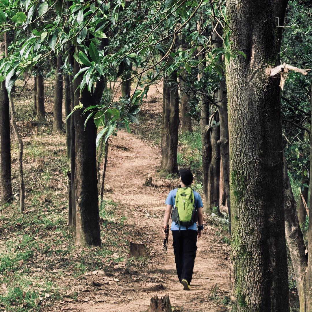爱跑步爱爬山爱打球爱做饭爱唱歌的西瓜大叔