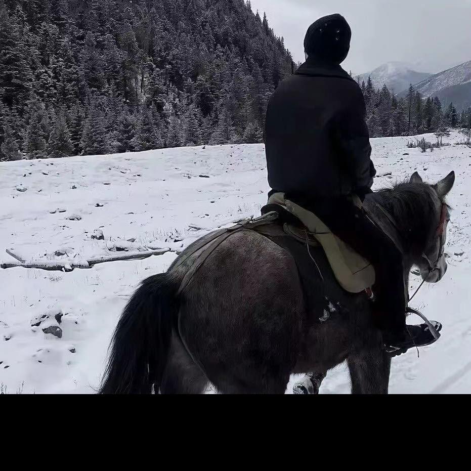 拿铁的铁
