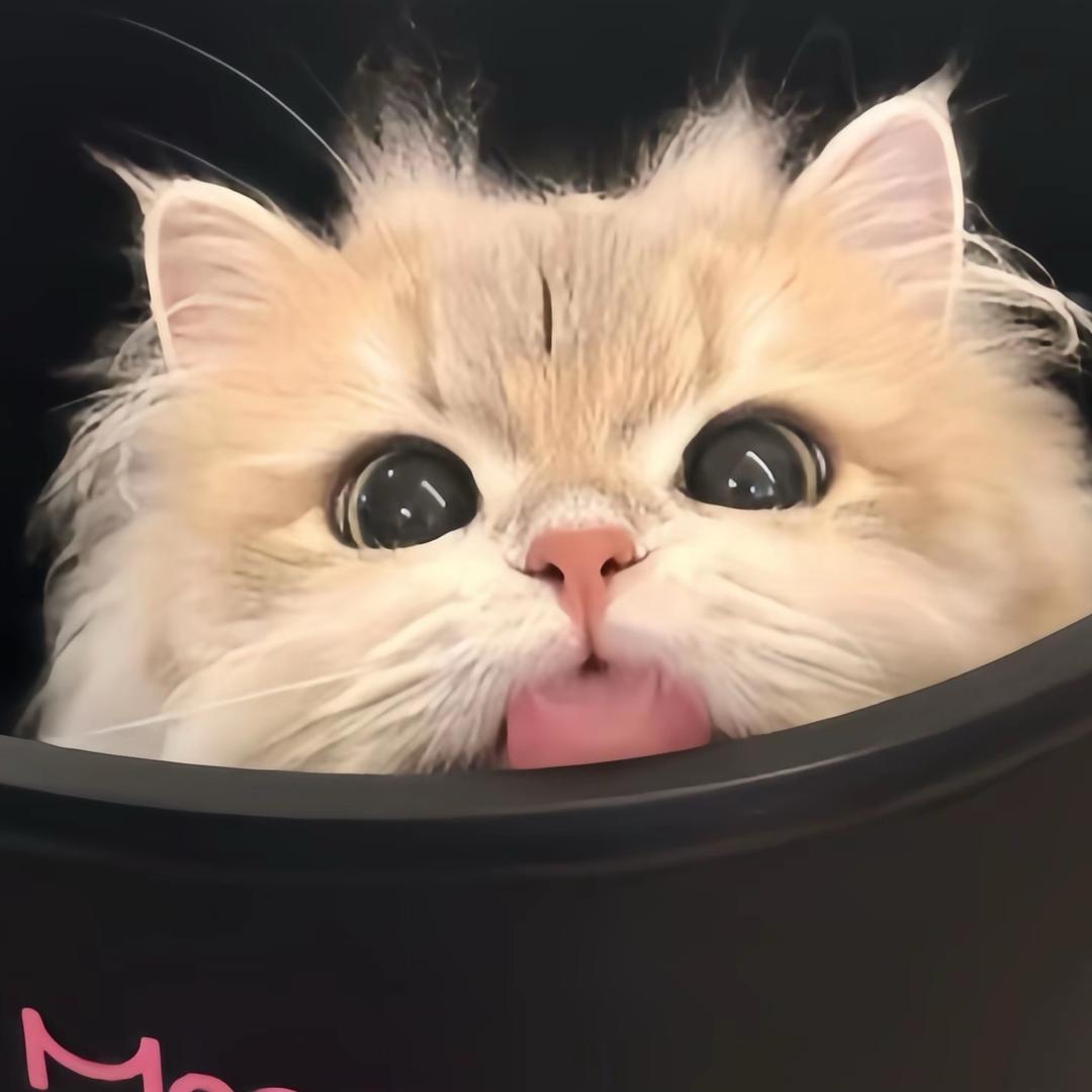 晚见🧊