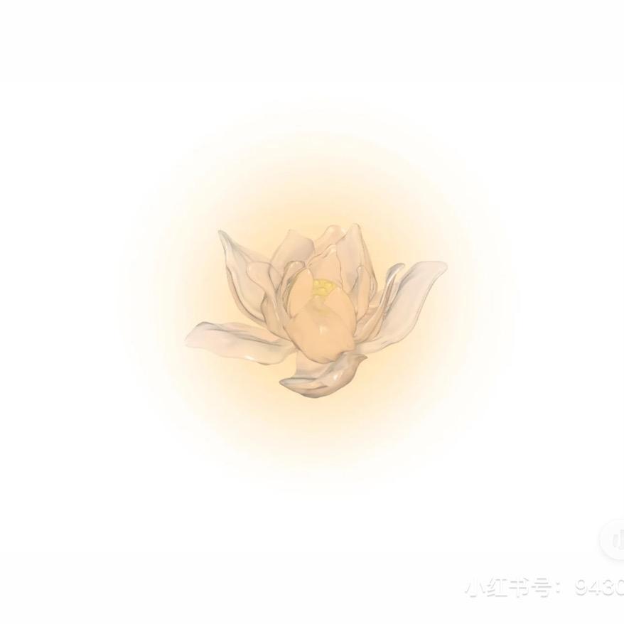 有茶艺婉🌈