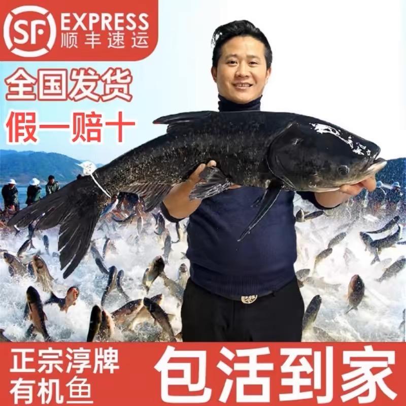 淳安县千岛湖赢千生鲜农产品店
