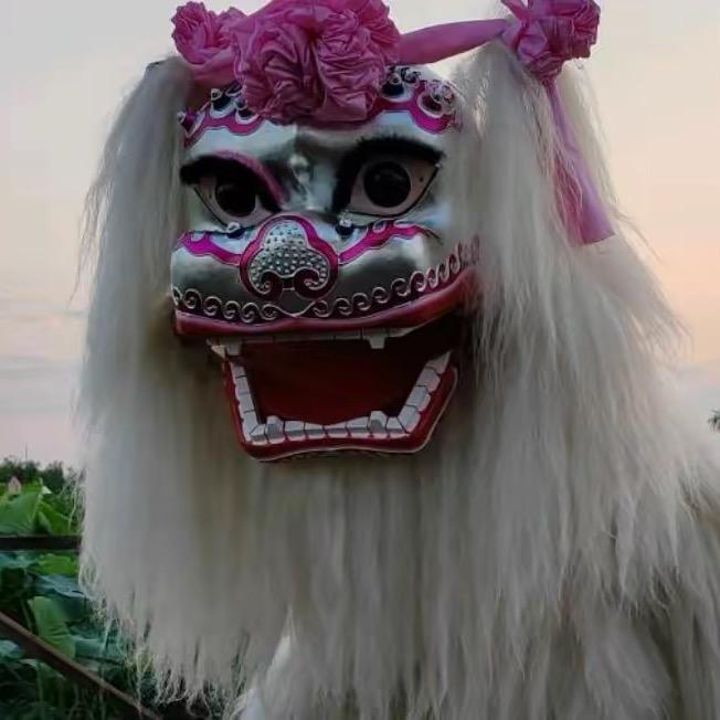 禅武堂舞狮团（小瑞）