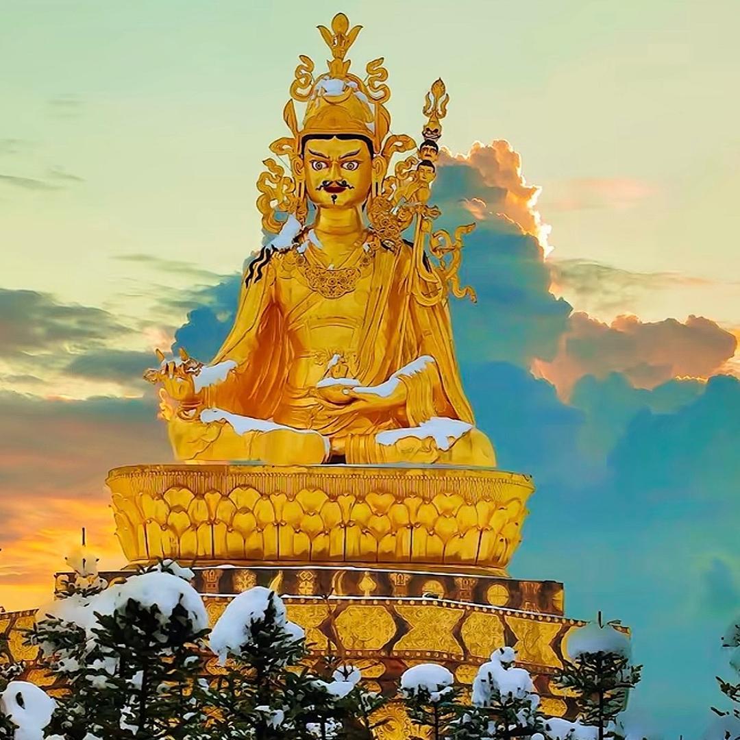 ࿐ བྱ་བ་ལམ་འགྲོ 🔥