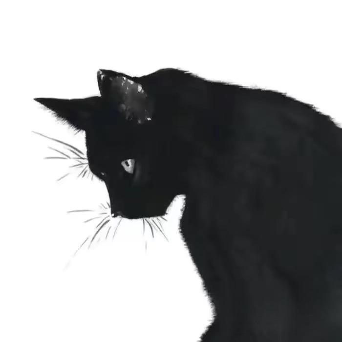 他