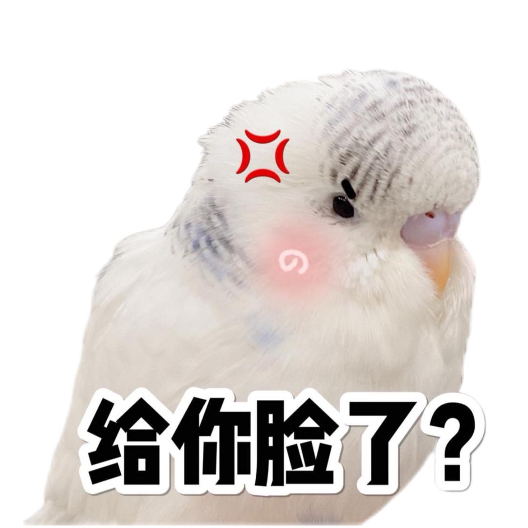 GINKO銀子头像