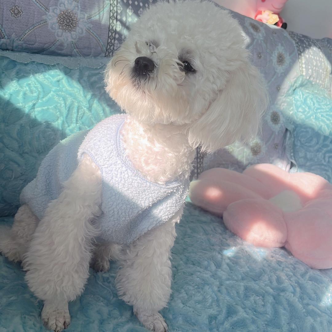 Q向日葵🌻