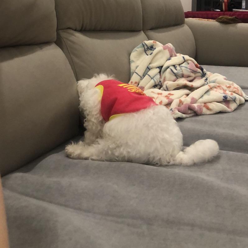 一缕清香