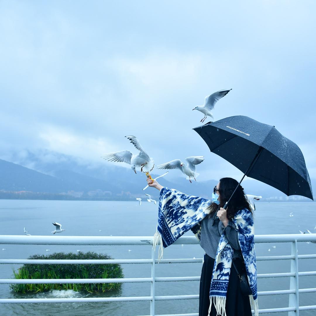 牛蛙冻品全系列(工厂)