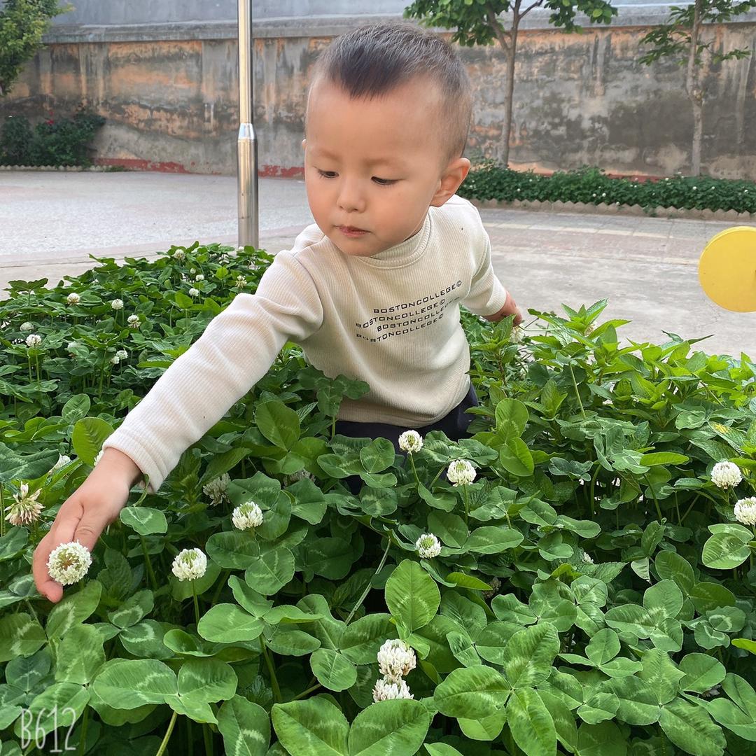 洋