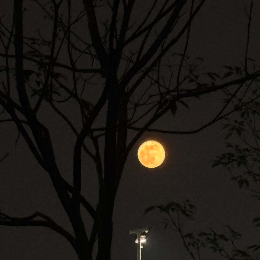 东莞鼎赢新能源