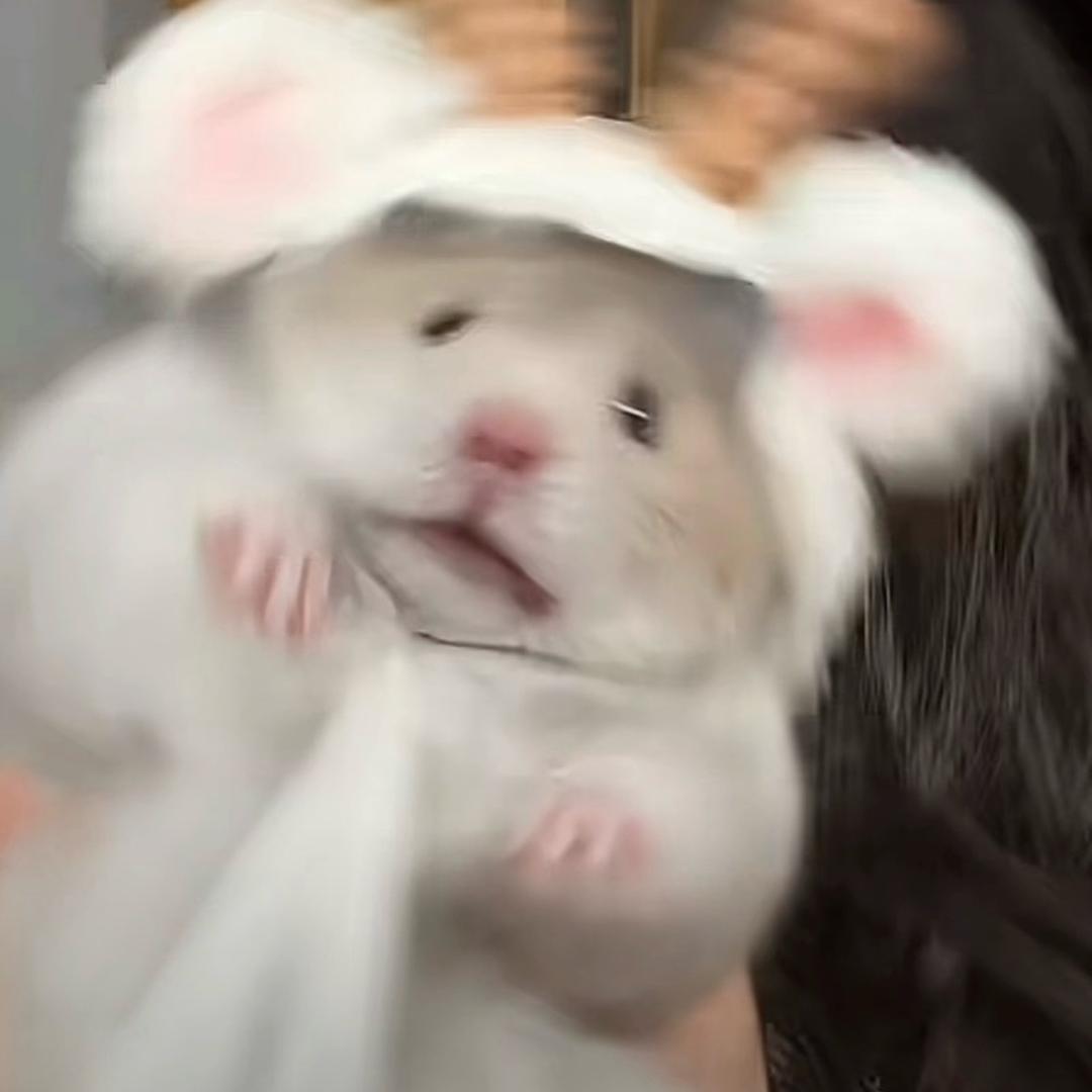 劉桑