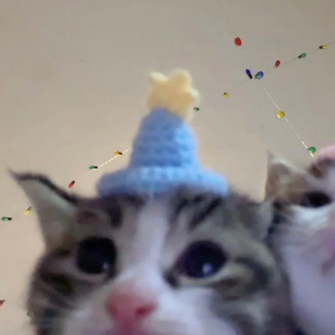 不是美女好烦啊