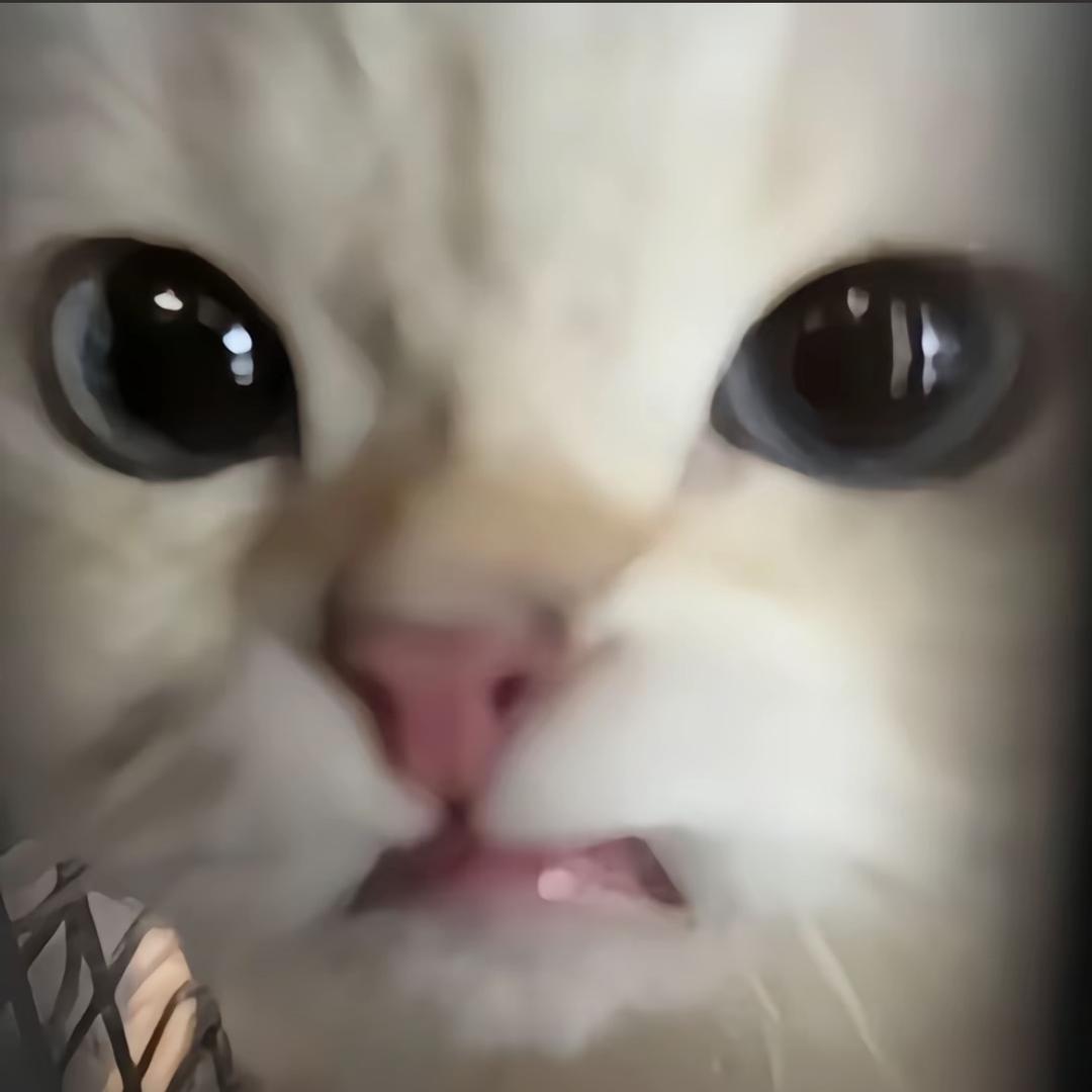 混合米