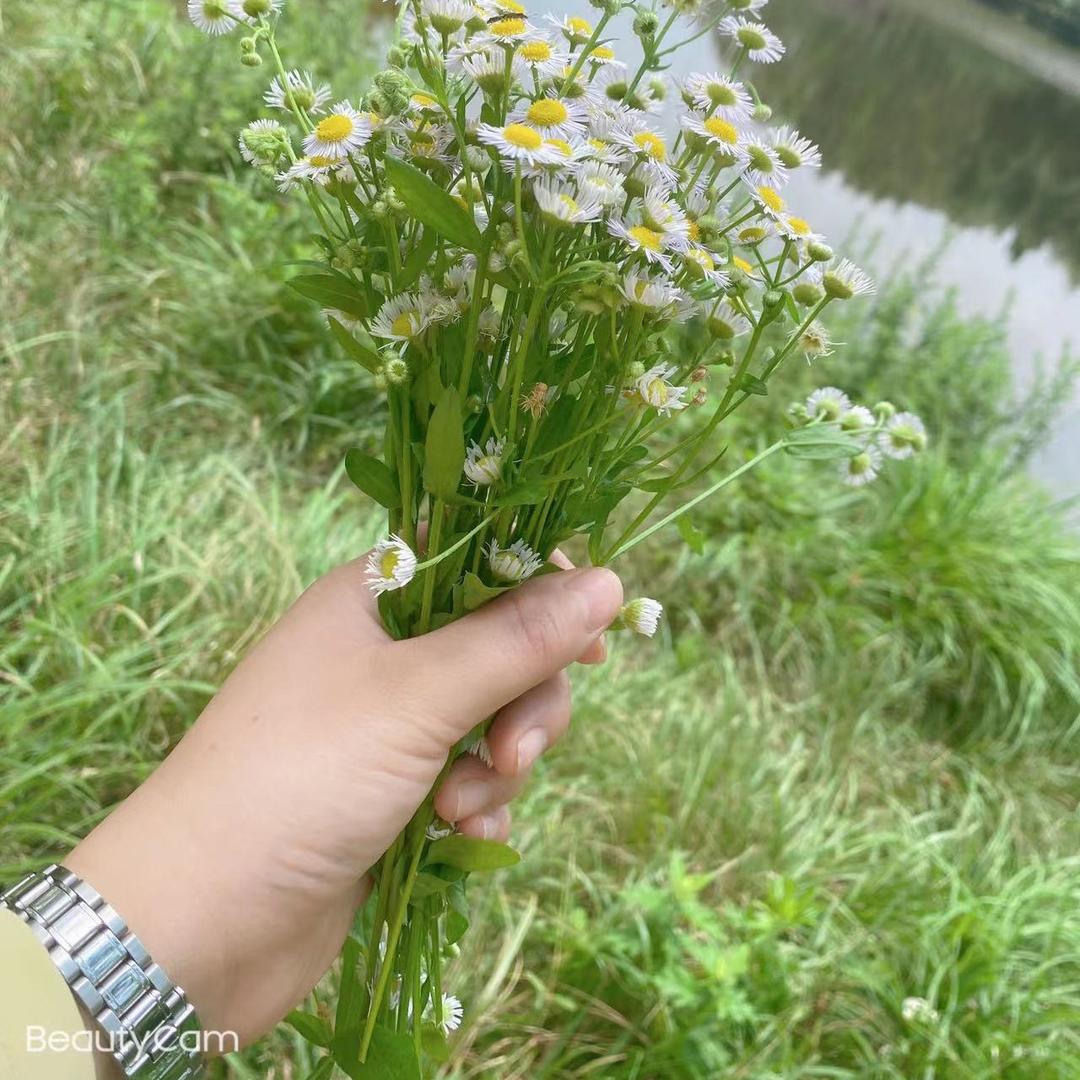 经营项目：美容.私人订制：眉.眼.唇💋