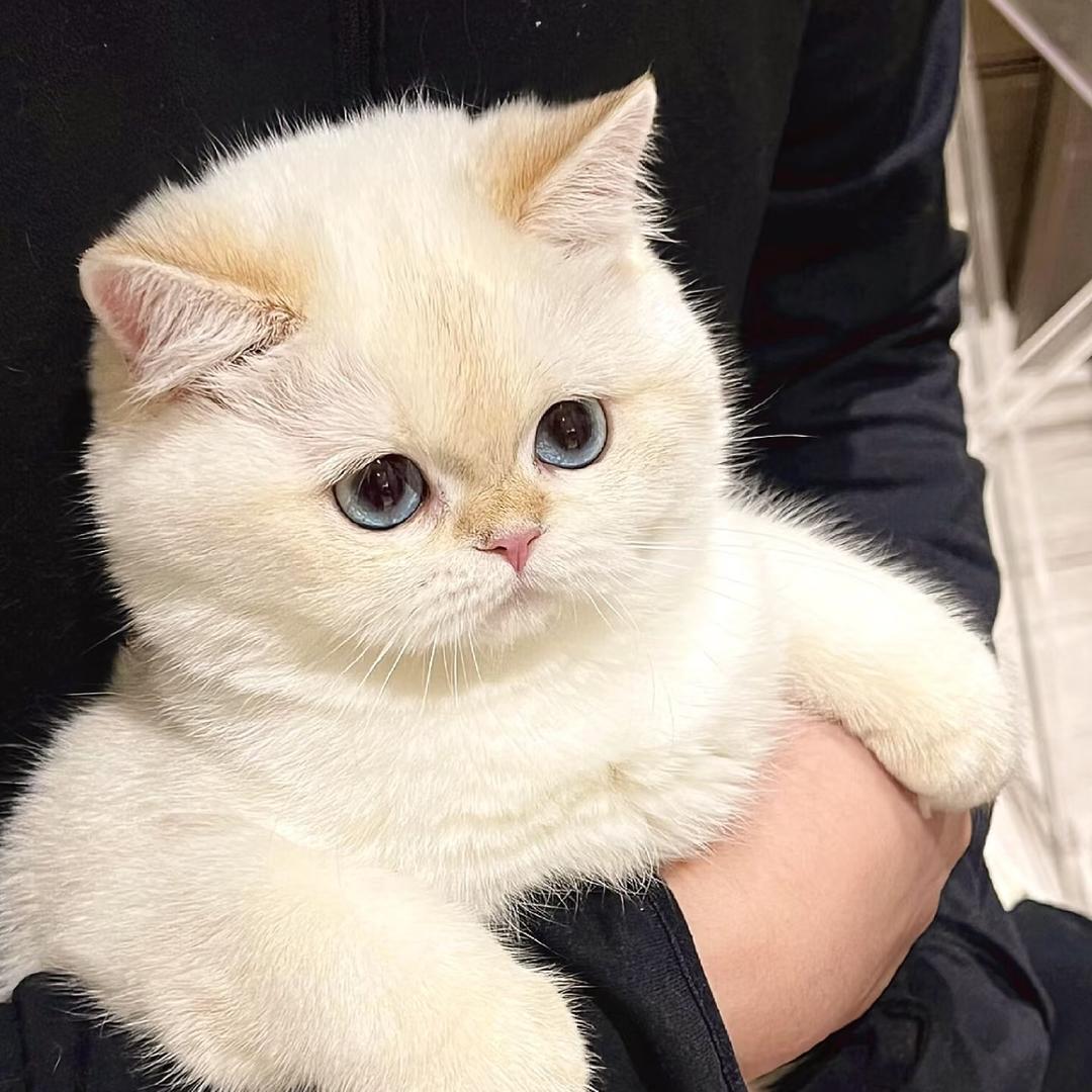 了仪李‼