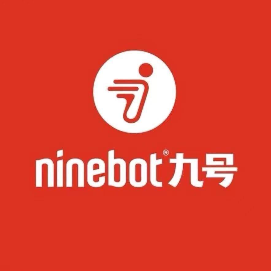南陵·  九号真智能电动车