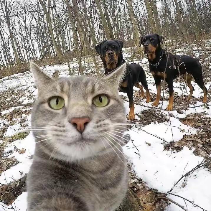 🌈🌈小糖糖🎣🎣