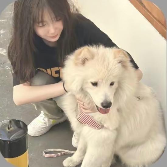 一口吃不饱