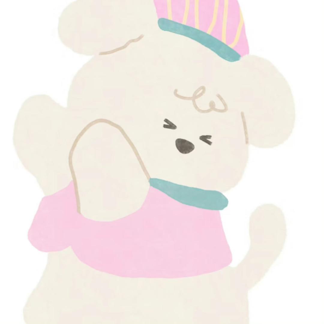 箱子里有只大肥猫