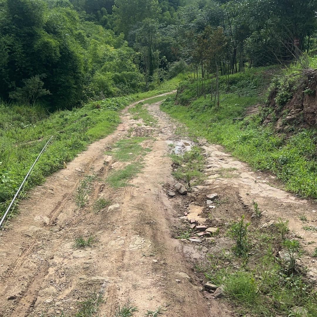 顺华扇巴掌直播号