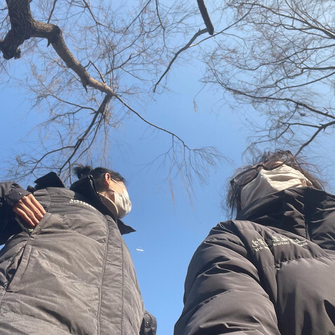 歪歪歪