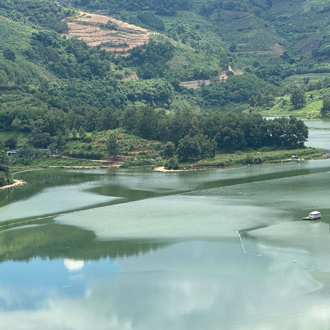 三哥渔具日常号