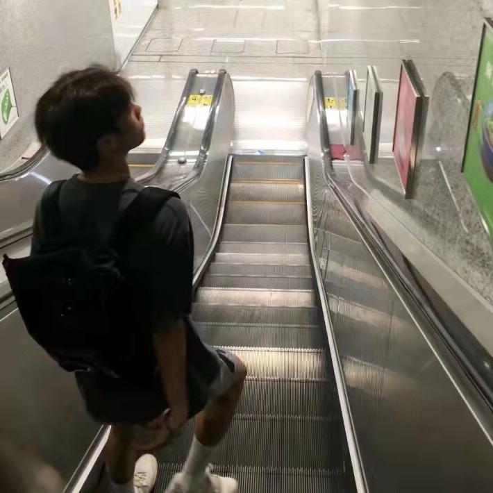 楊楊楊