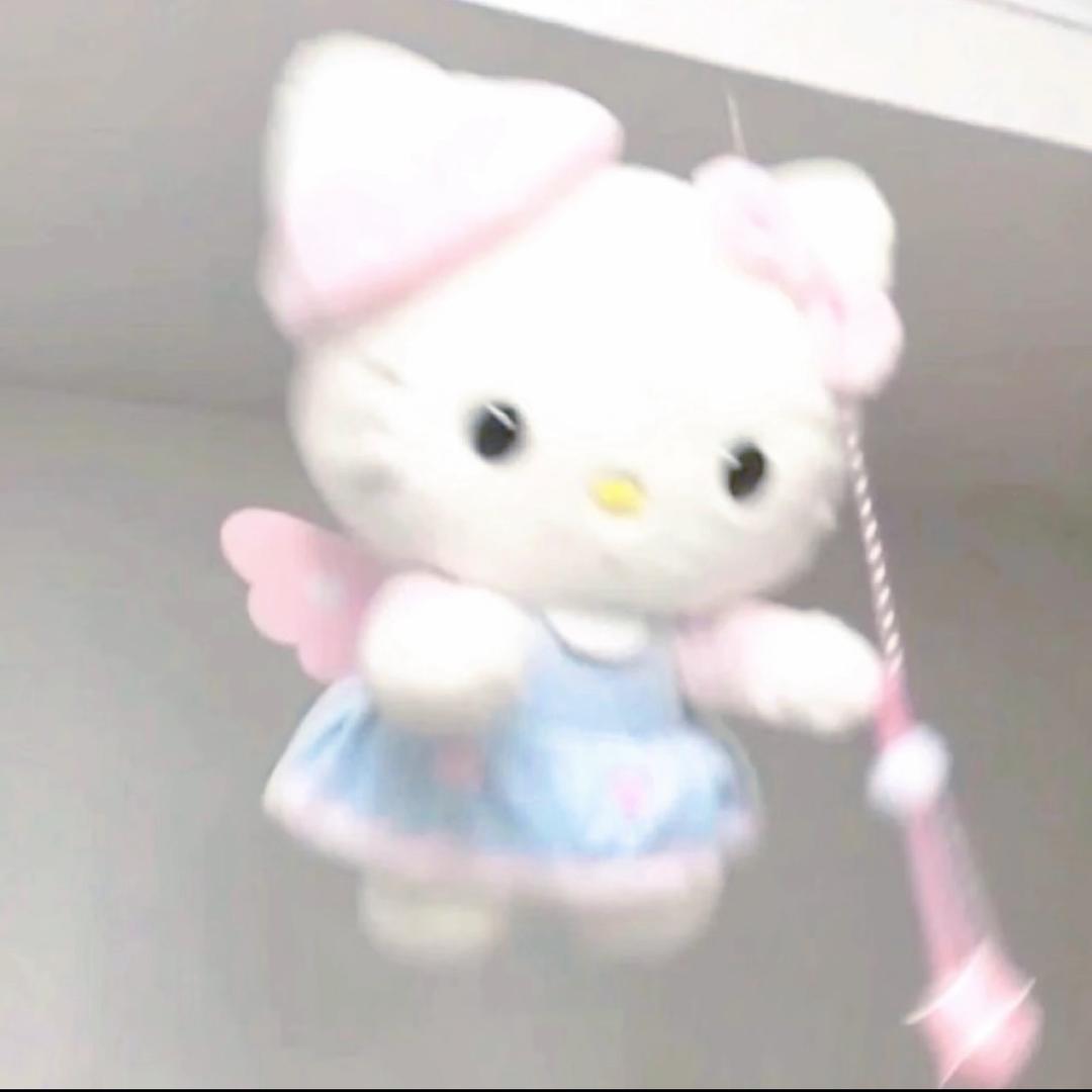 夏洛特