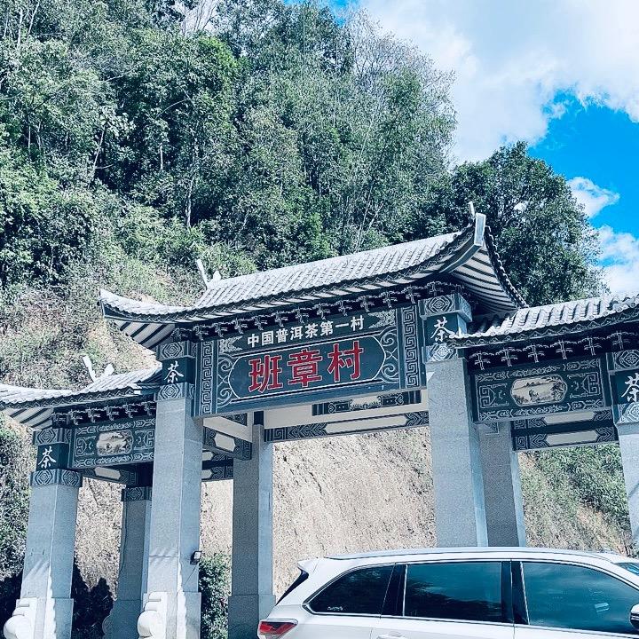 中国普洱茶第一村-新班章51 號