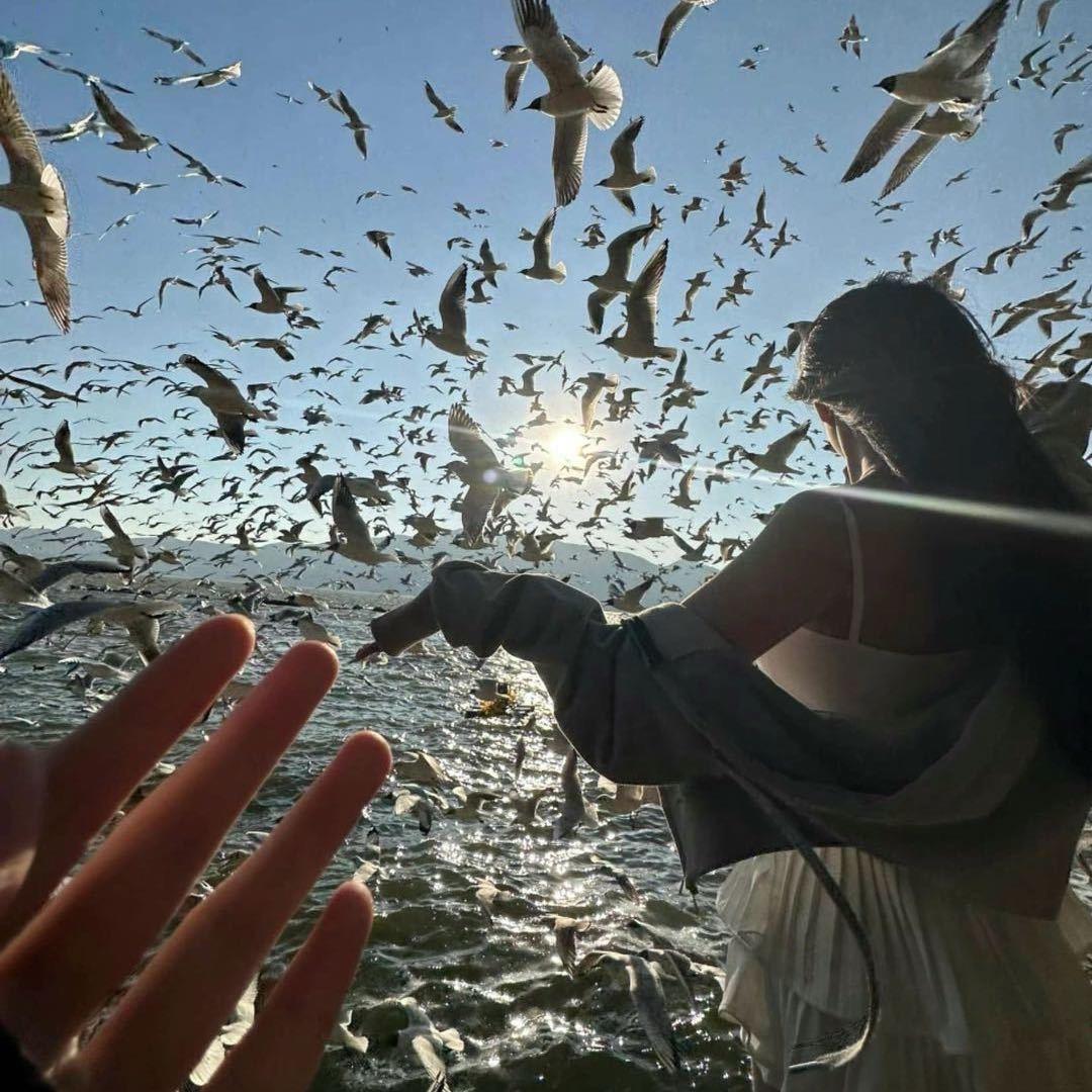 青春的宝藏推荐