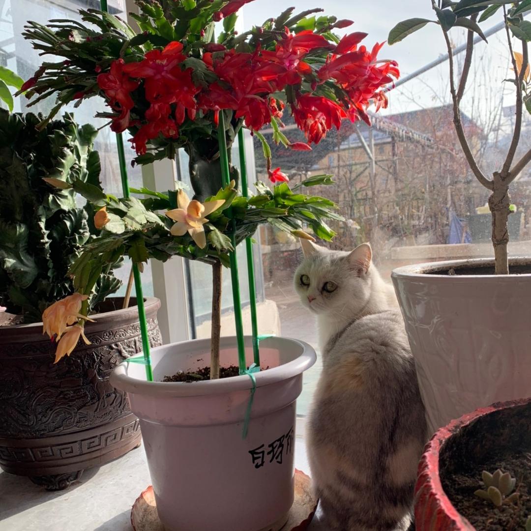 小李哥的简单生活