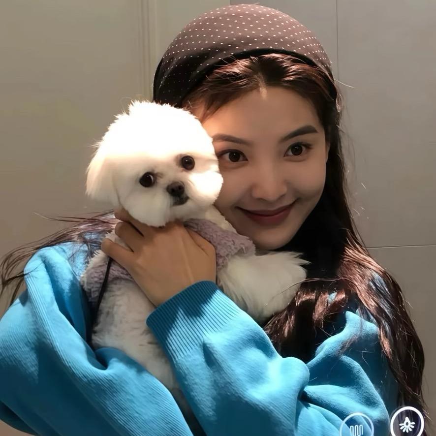 暴躁小羊🐏
