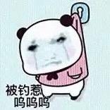 纯进口的飞鱼罐头
