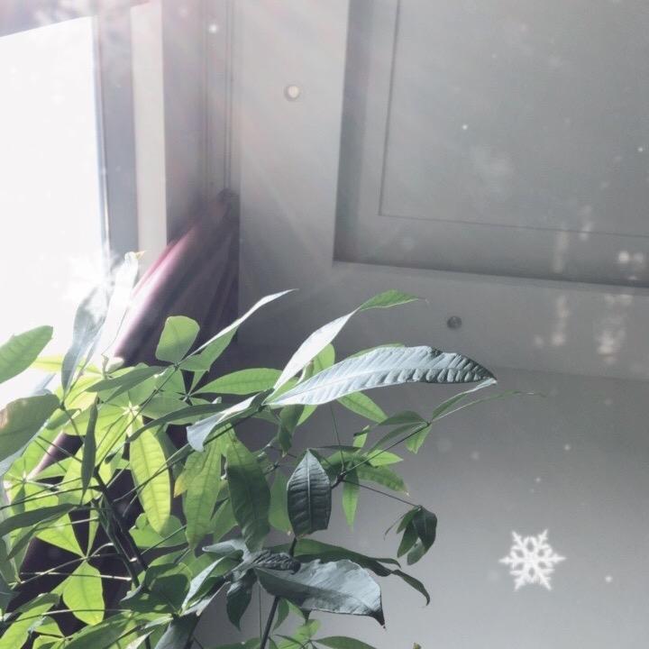 和皮卡丘